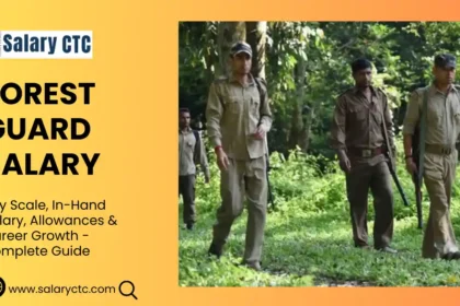 Forest Guard salary