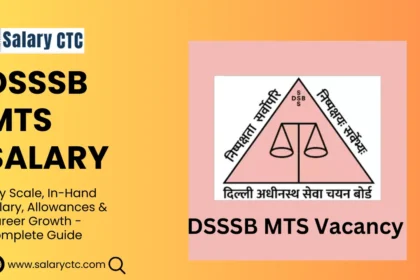 DSSSB MTS Salary