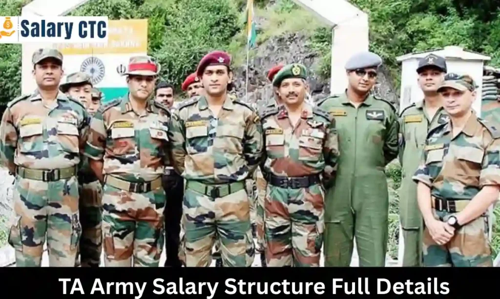 Territorial Army (TA)