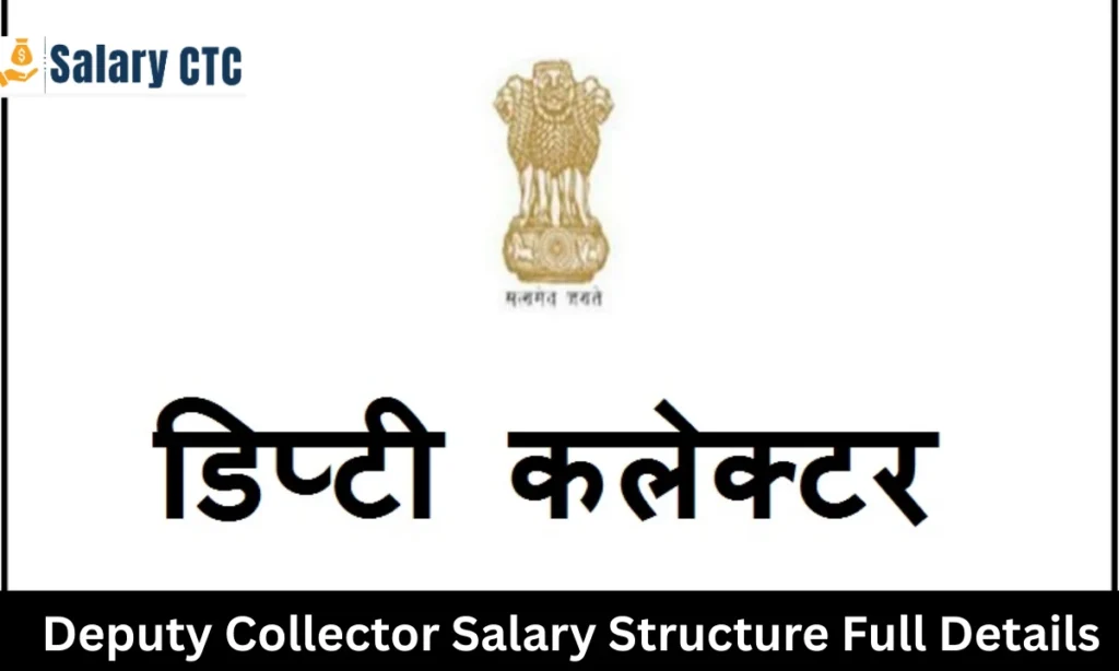 Deputy Collector