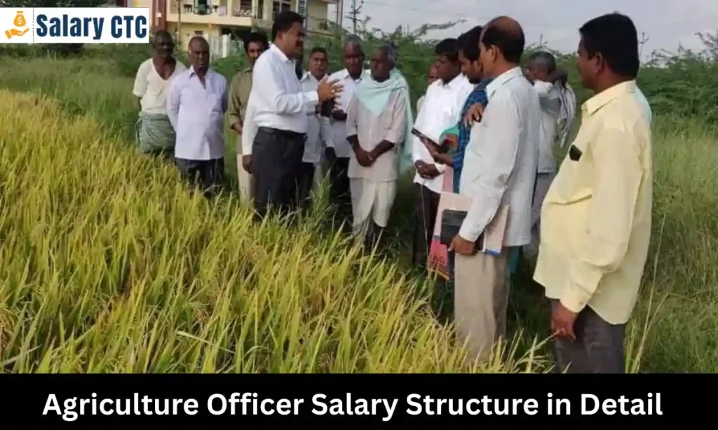 Agriculture Officer Salary Structure