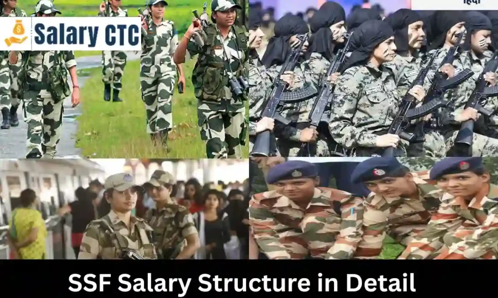 SSF Salary Structure