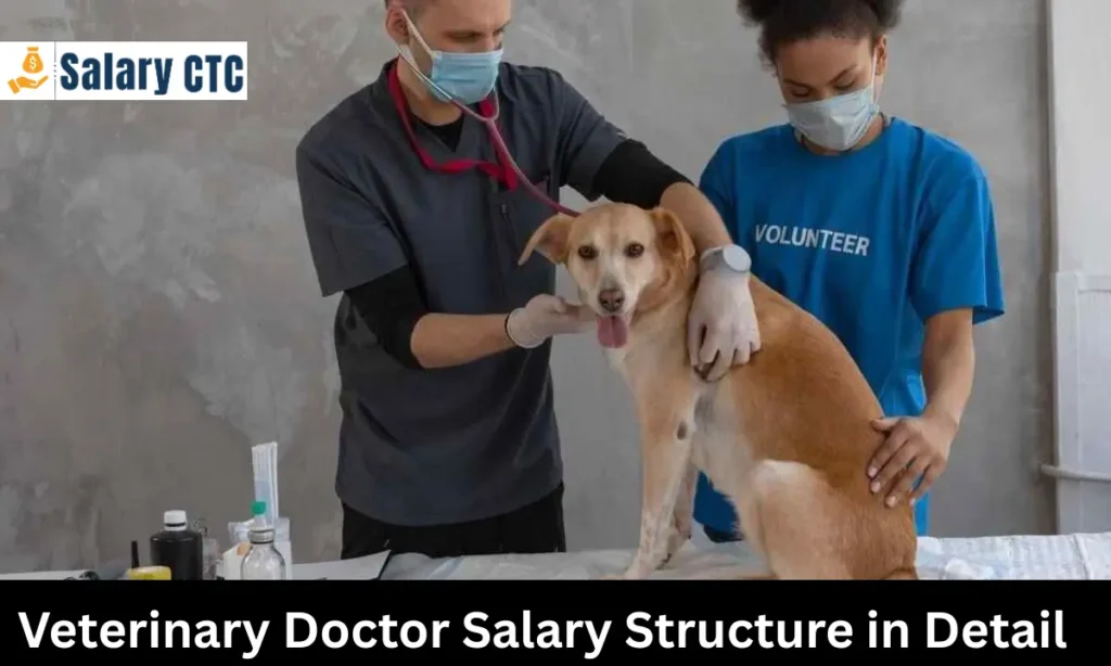 Veterinary Doctor Salary in India