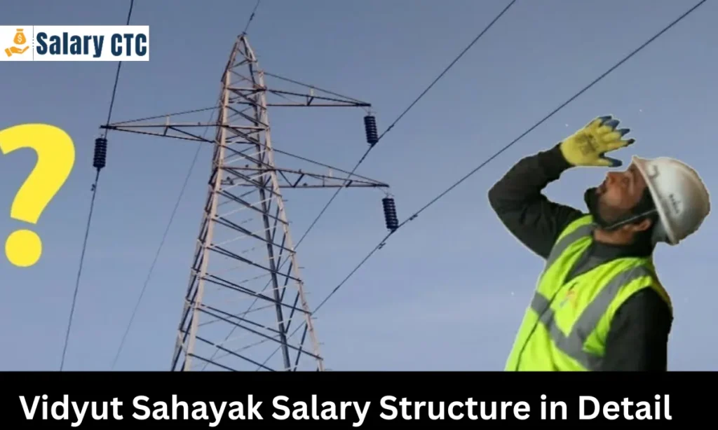 Vidyut Sahayak Salary