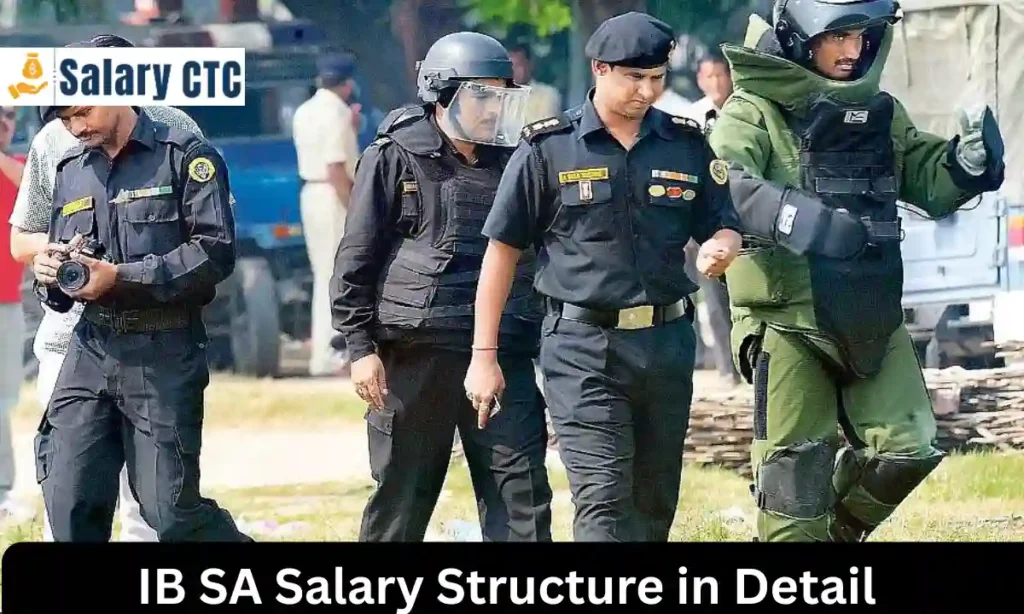 IB SA Salary Breakdown