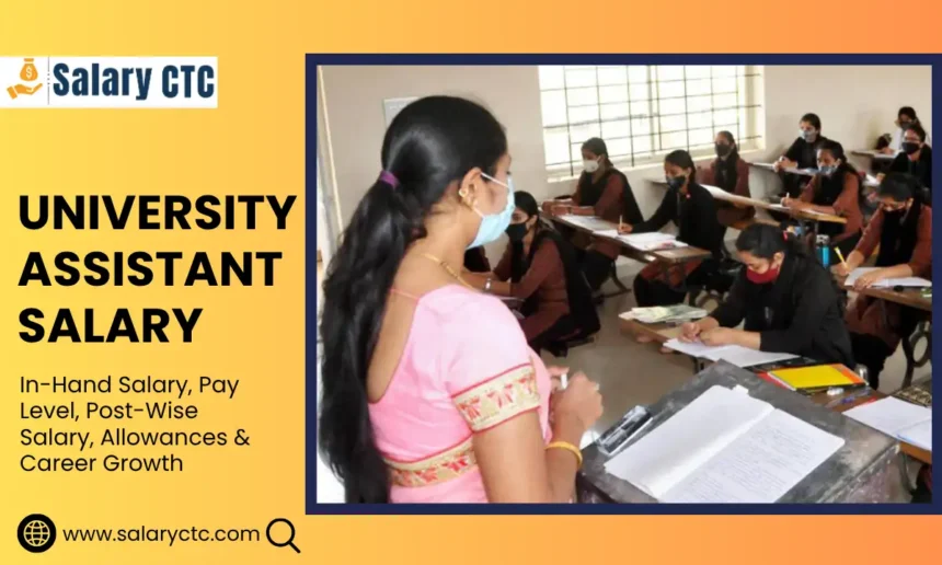 University Assistant Salary