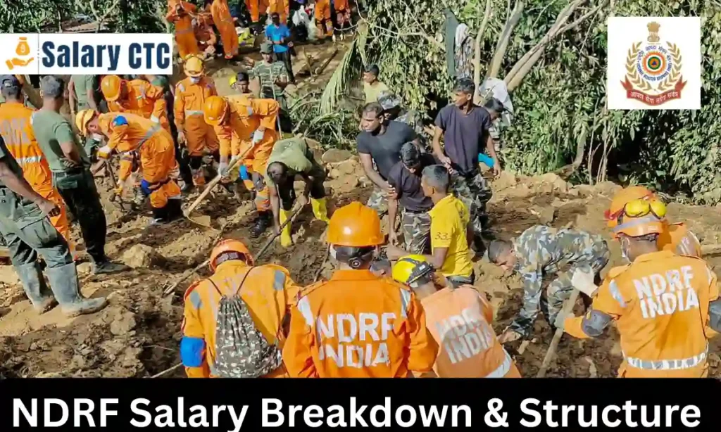NDRF Salary Breakdown